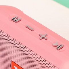 Haut-parleur Bluetooth portable
