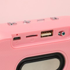 Haut-parleur Bluetooth portable