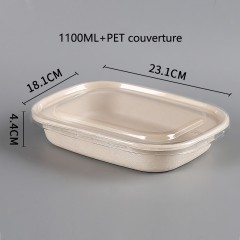 Bols à soupe jetables écologiques