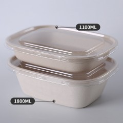 Bols à soupe jetables écologiques
