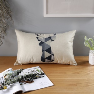 Coussin de salon