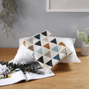 Coussin de salon