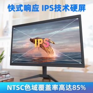 Moniteur LCD 19'' 1080P