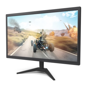 Moniteur LCD 19'' 1080P