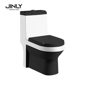 WC monobloc en céramique lavable