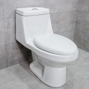 WC à Siphon silencieux en céramique