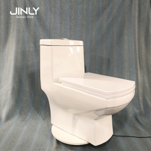 WC monobloc en céramique lavable