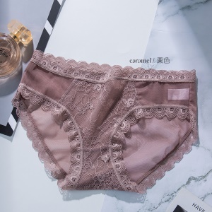 Slip femme sexy transparent culotte en dentelle