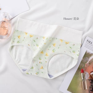Slip à taille haute en coton pur                                                                                                                                                                                                                                
