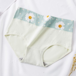 Culotte slip  en coton pour femme
