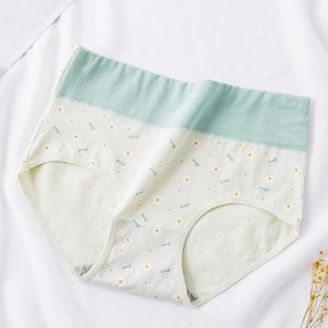 Culotte slip  en coton pour femme