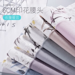 Culotte slip respirante en coton  à taille haute