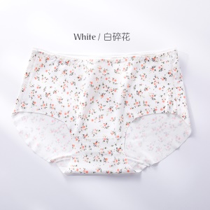 Culotte pour femmes en coton
