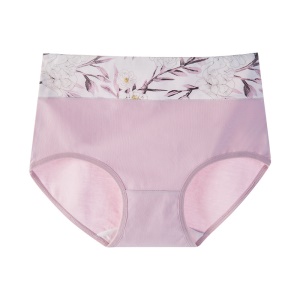 Culotte slip respirante en coton  à taille haute