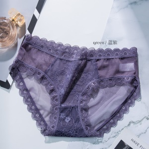 Slip femme sexy transparent culotte en dentelle
