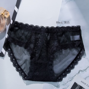 Slip femme sexy transparent culotte en dentelle