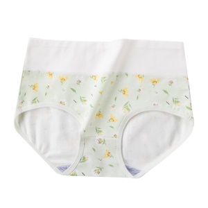 Slip à taille haute en coton pur                                                                                                                                                                                                                                
