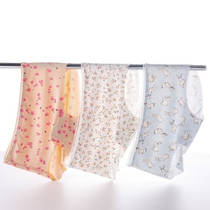 Culotte pour femmes en coton