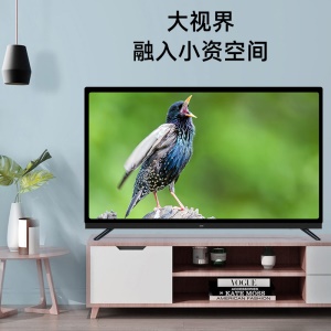 Téléviseur  intelligent de 43 pouces HIFI audio WIFI
