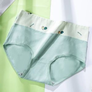 Culotte slip à taille haute en dentelle