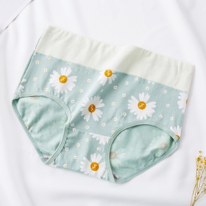 Culotte slip  en coton pour femme