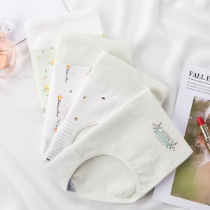 Slip à taille haute en coton pur                                                                                                                                                                                                                                
