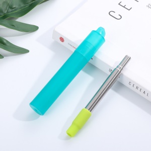 Set de paille rétractable en acier inoxydable (paille rétractable + embout silicone + étui plastique + brosse + boîte)