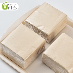 Serviettes sans parfum double couche 100 pompe/paquet 230 * 230mm