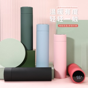Thermos à affichage intelligent de la température en Acier inoxydable 316 étanche 500ml