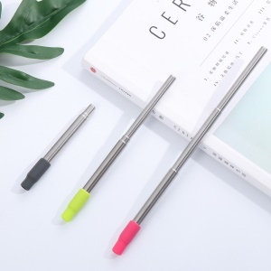 Set de paille rétractable en acier inoxydable (paille rétractable + embout silicone + étui plastique + brosse + boîte)