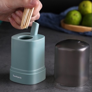 Boîte de cure-dent de pression en plastique