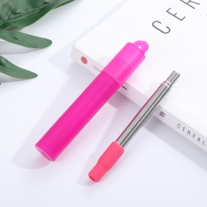 Set de paille rétractable en acier inoxydable (paille rétractable + embout silicone + étui plastique + brosse + boîte)