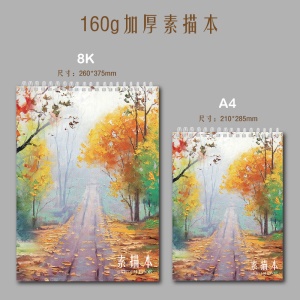 Carnet de dessins A4/8K 60pages