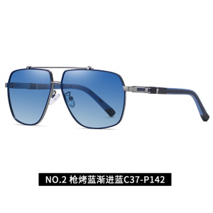 Lunettes de soleil polarisées pour hommes Monture en métal TAC