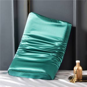 Taie d'oreiller double face en latex de soie 100% soie de mûrier