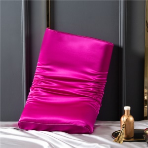 Taie d'oreiller double face en latex de soie 100% soie de mûrier