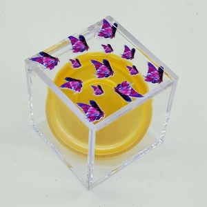 Boîte à faux cils transparents en forme de cube avec motif papillon 25mm
