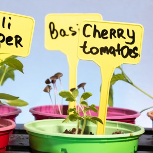 Étiquette de plante type T imperméable à l'eau