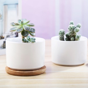 Pot de fleurs  blanc en céramique