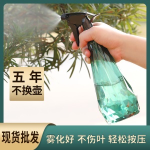 Arrosoir de jardin en plastique 600ml