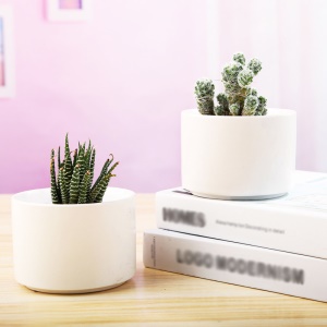Pot de fleurs  blanc en céramique