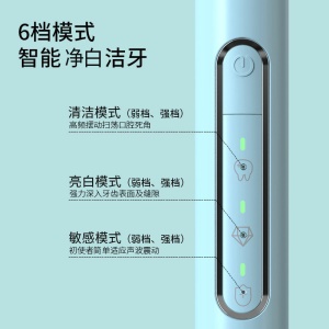 BR-E1  Brosse à dents électrique  USB rechargeable blanchissant et nettoyant les dents