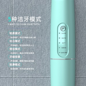 Brosse à dents électrique à ultrasons Nettoyage en profondeur des dents rechargeable