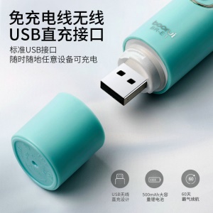 BR-E1  Brosse à dents électrique  USB rechargeable blanchissant et nettoyant les dents