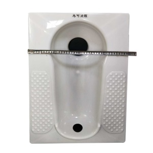 Toilette accroupie avec marche  en plastique antidérapant