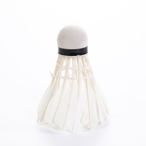 Ensemble de  balles de badminton