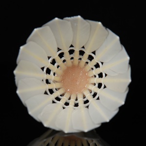 Ensemble de 12  balles de Badminton