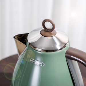 Bouilloire électrique en acier inoxydable cafétière