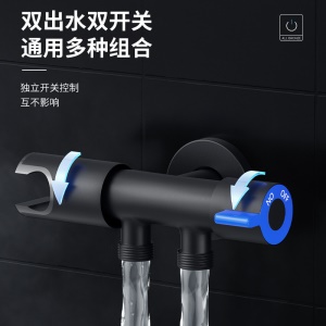 Ensemble de pistolets de toilette en acier inoxydable Une entrée, deux sorties Antirouille