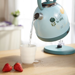 Bouilloire électrique à cuisson rapide  en acier inoxydable cafétière